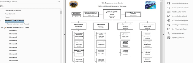 Screenshot of PDF file showing the organization chart and the accessibility errors generated. Shows 3 document issues, 2 alternate text issues, and an uncounted number of alternate text issues (10 are visible in the screenshot).